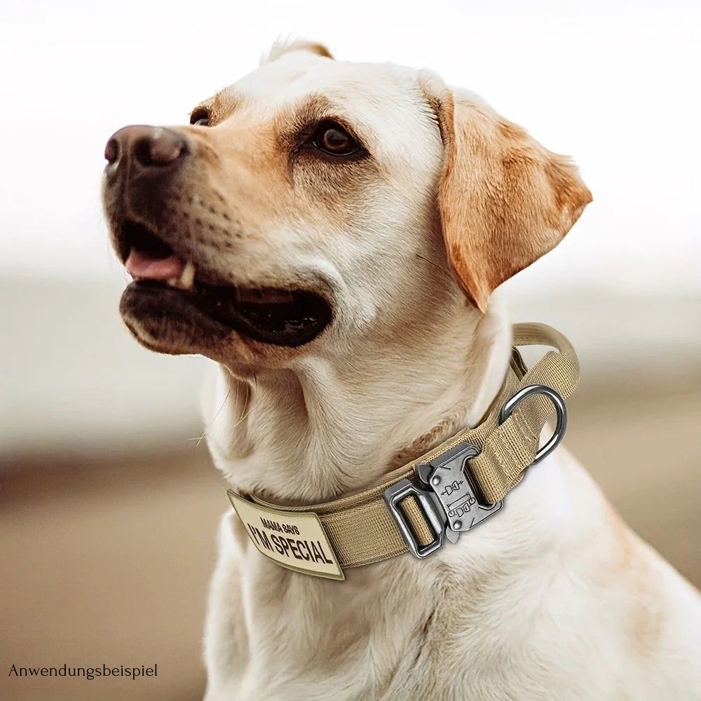 Simple-Guard Halsband - Robust, Sicher, Komfortabel