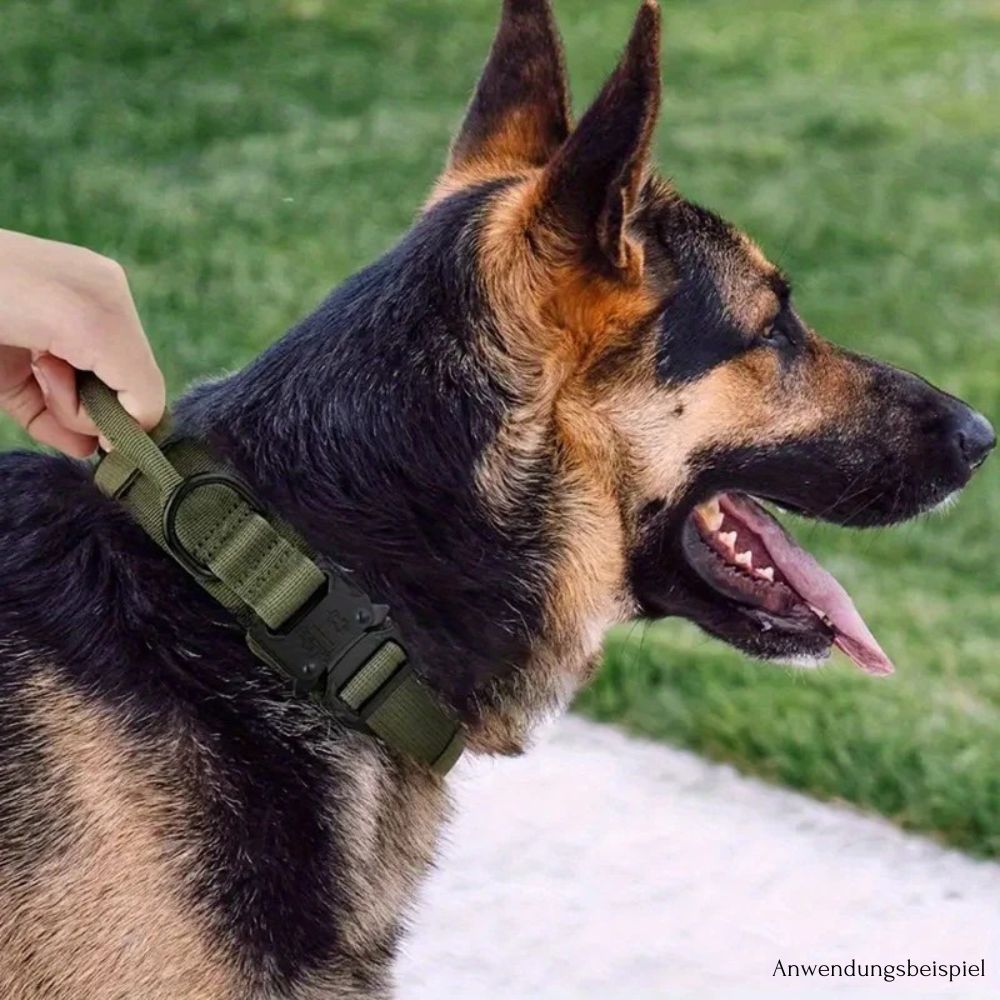 Simple-Guard Halsband - Robust, Sicher, Komfortabel