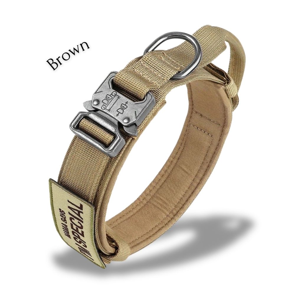Simple-Guard Halsband - Robust, Sicher, Komfortabel